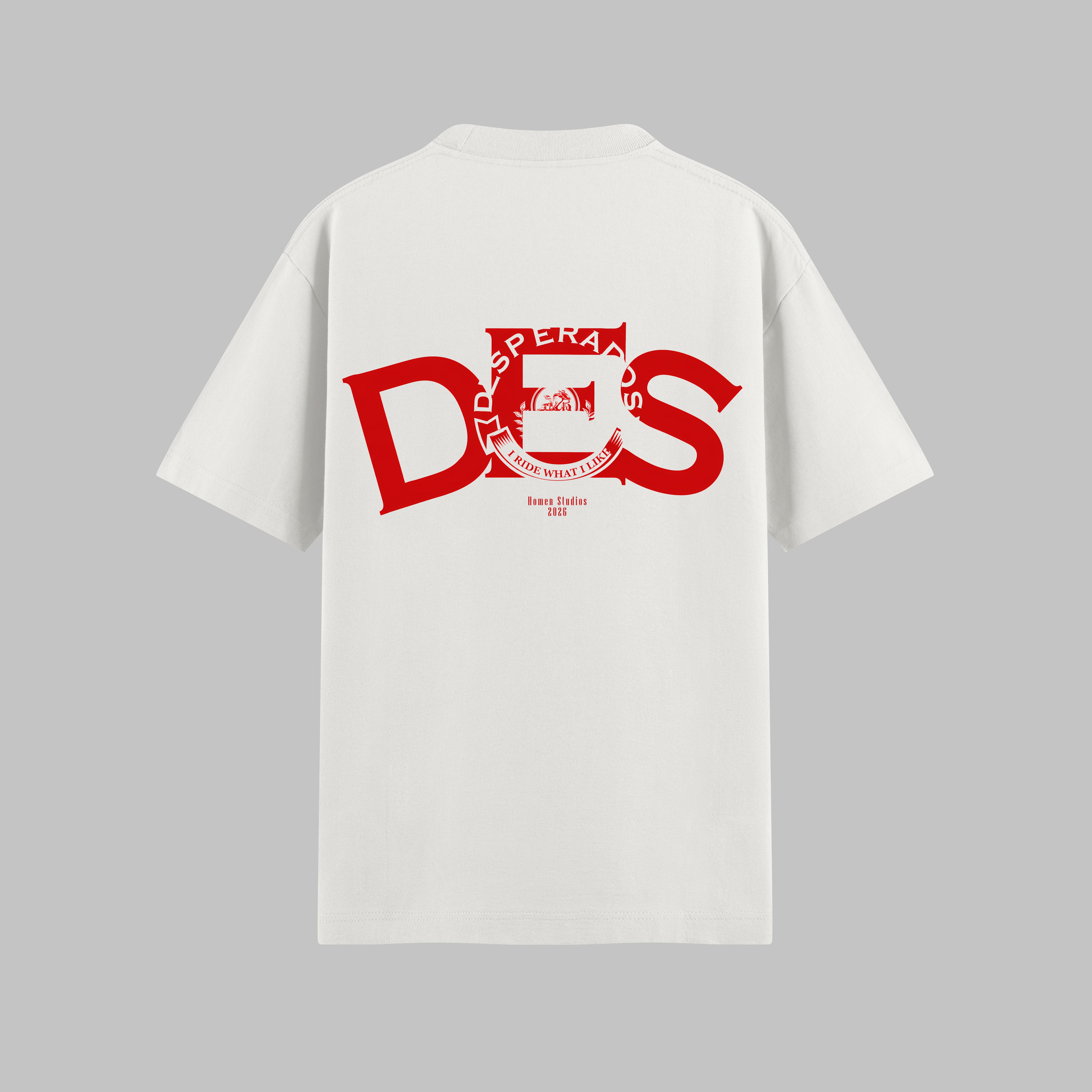 CAMISETA REGULAR FIT  DES