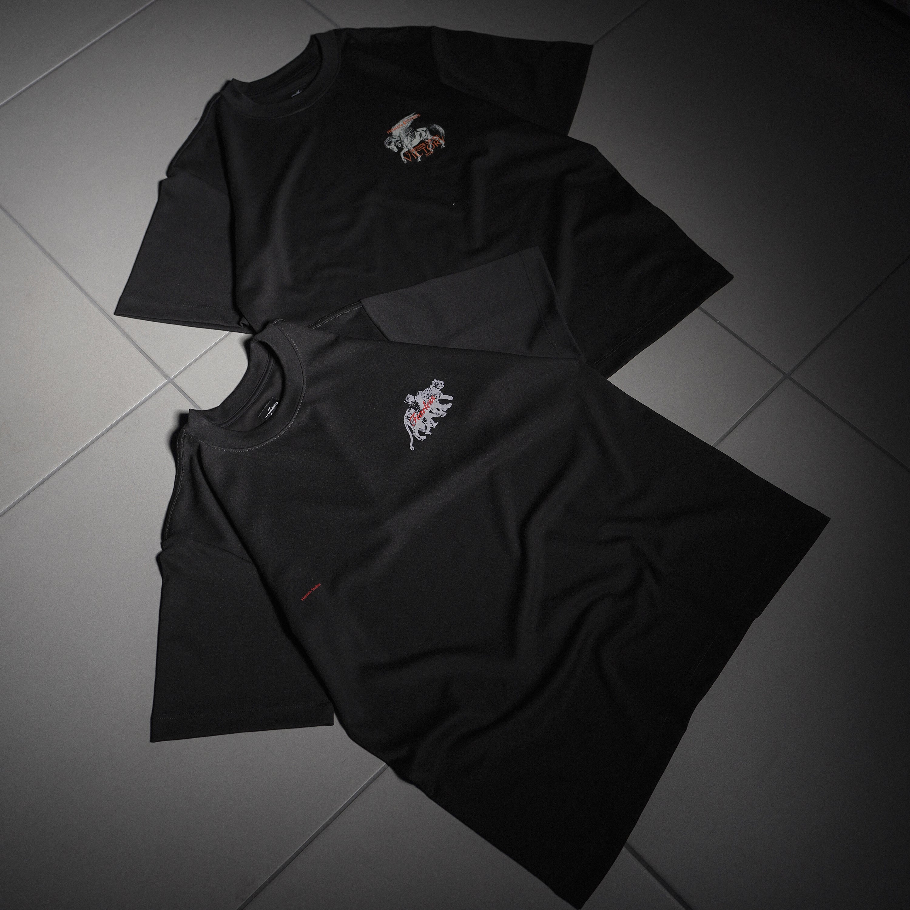 CAMISETA OVERSIZE PREMIUM FEARLESS