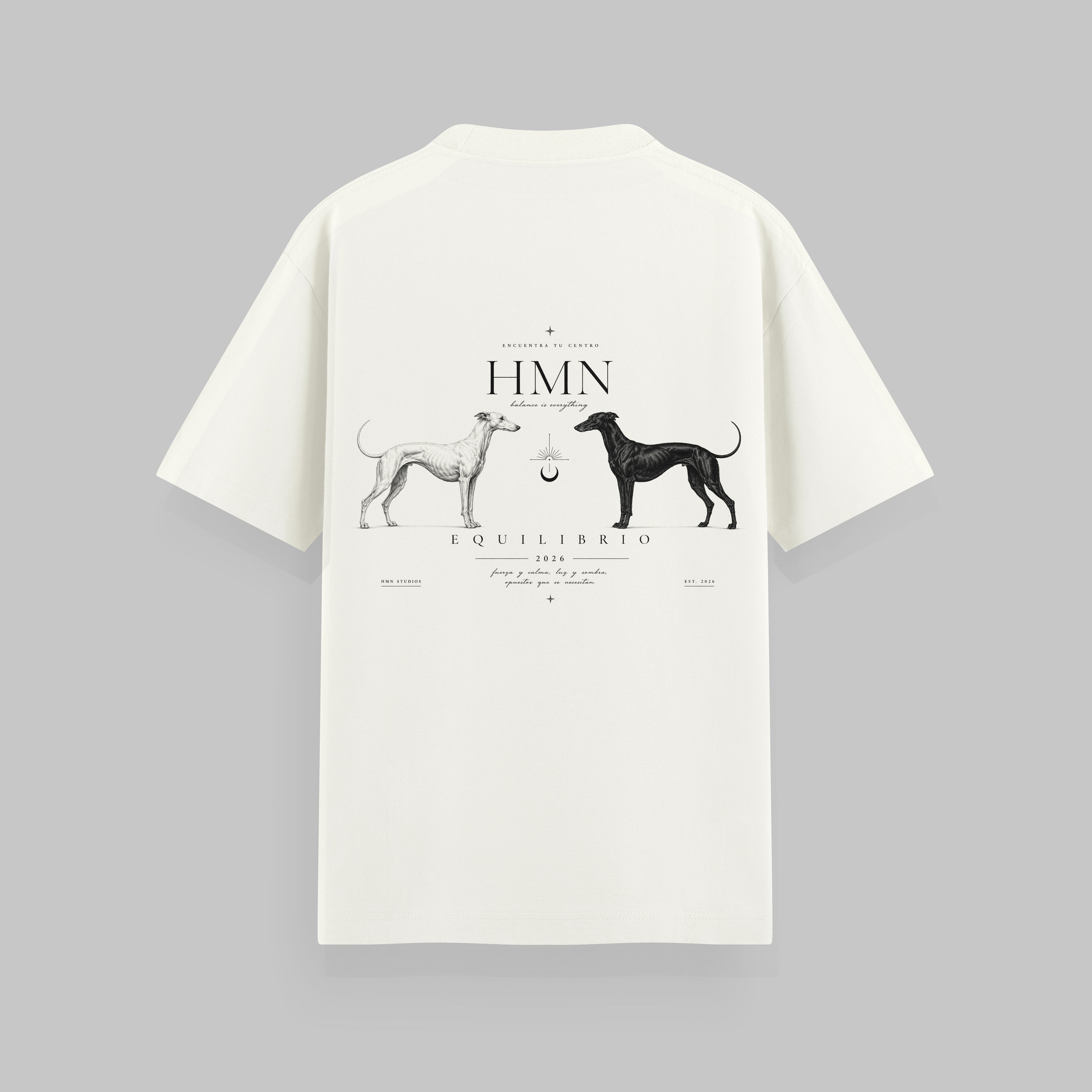 CAMISETA OVERSIZE MIRACLE